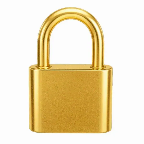 Orange padlock — Vox