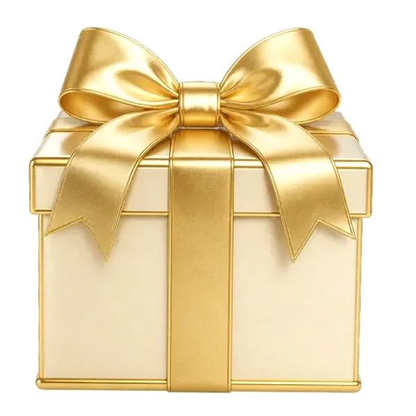 Wrapped gift box — Vox