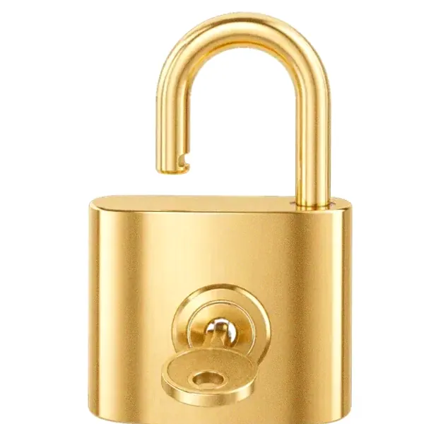 Open padlock — Vox