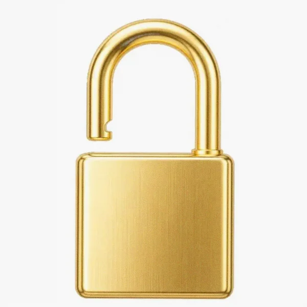 Padlock — Vox